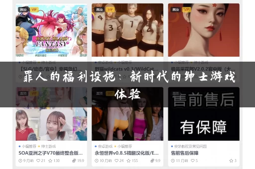 罪人的福利设施：新时代的绅士游戏体验