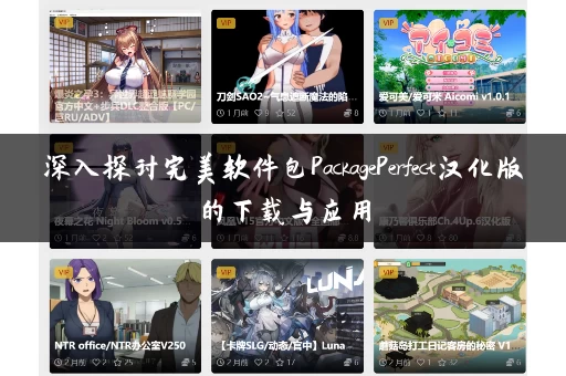 深入探讨完美软件包PackagePerfect汉化版的下载与应用