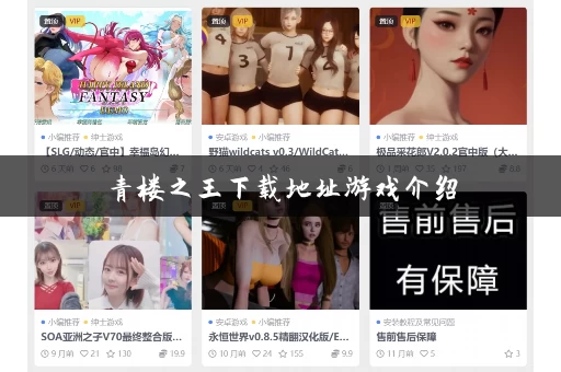 青楼之王下载地址游戏介绍