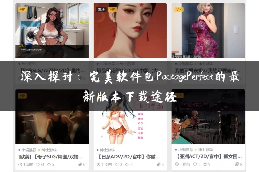 深入探讨：完美软件包PackagePerfect的最新版本下载途径