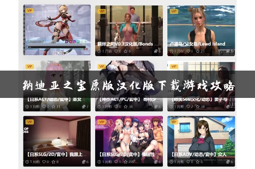 纳迪亚之宝原版汉化版下载游戏攻略