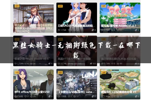 黑丝女骑士_无捆绑绿色下载_在哪下载