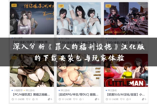 深入分析《罪人的福利设施》汉化版的下载安装包与玩家体验