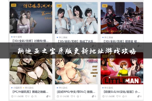纳迪亚之宝原版更新地址游戏攻略