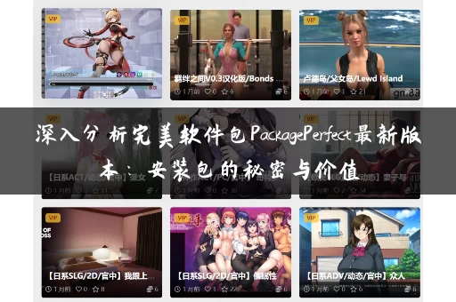 深入分析完美软件包PackagePerfect最新版本：安装包的秘密与价值