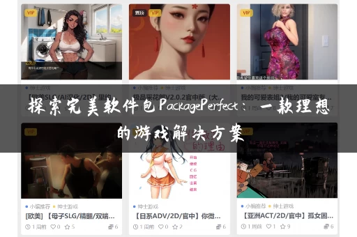 探索完美软件包PackagePerfect：一款理想的游戏解决方案