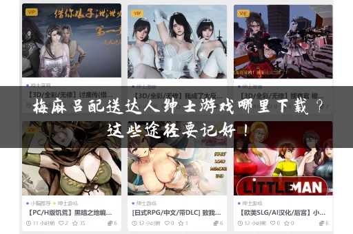 梅麻吕配送达人绅士游戏哪里下载？这些途径要记好！