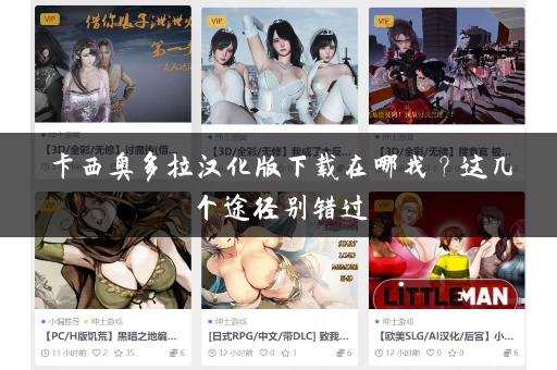 卡西奥多拉汉化版下载在哪找？这几个途径别错过