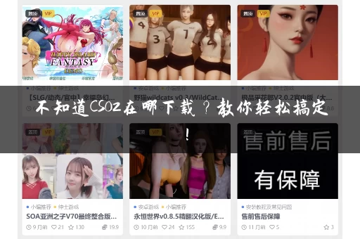 不知道CS02在哪下载？教你轻松搞定！