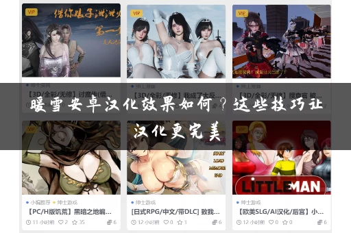 暖雪安卓汉化效果如何？这些技巧让汉化更完美