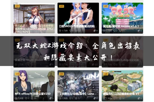 无双大蛇2游戏介绍：全角色出招表和隐藏要素大公开！