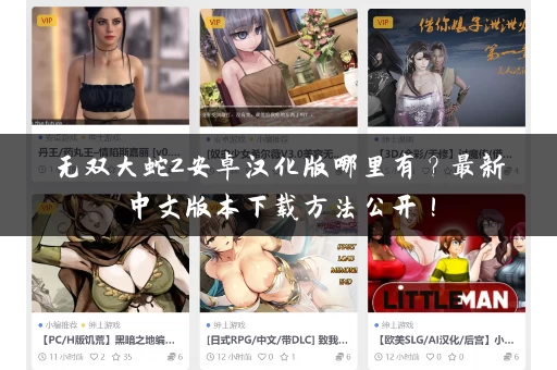 无双大蛇2安卓汉化版哪里有？最新中文版本下载方法公开！