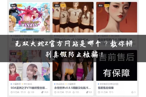 无双大蛇2官方网站是哪个？教你辨别真假防止被骗！