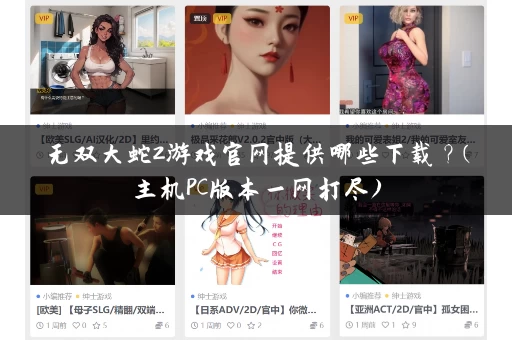 无双大蛇2游戏官网提供哪些下载？(主机PC版本一网打尽)