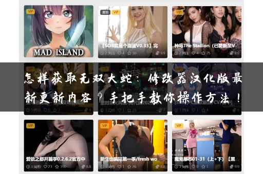 怎样获取无双大蛇：修改器汉化版最新更新内容？手把手教你操作方法！