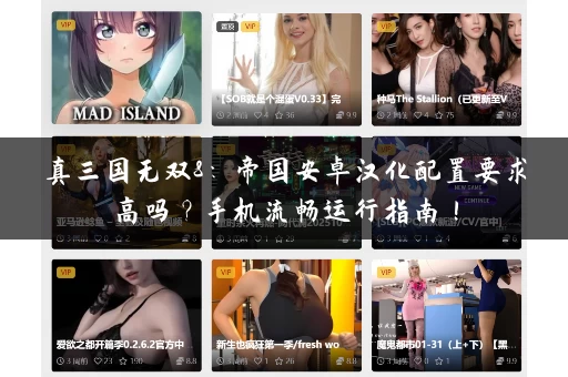 真三国无双8：帝国安卓汉化配置要求高吗？手机流畅运行指南！