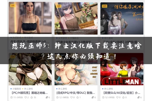 想玩巫师3:绅士汉化版下载要注意啥?这几点你必须知道! 想玩巫师3:绅士汉化版下载要注意啥?这几点你必须知道!