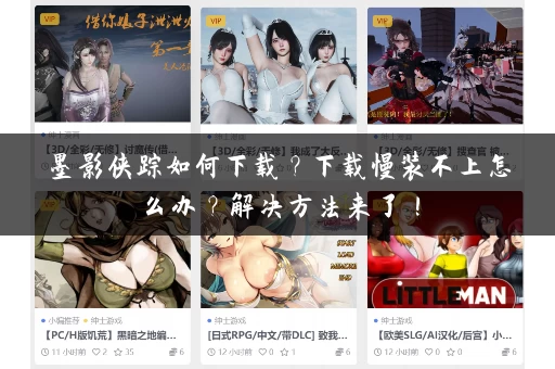 墨影侠踪如何下载？下载慢装不上怎么办？解决方法来了！