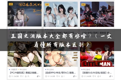 王国之泪版本大全都有些啥？（一文看懂所有版本区别）