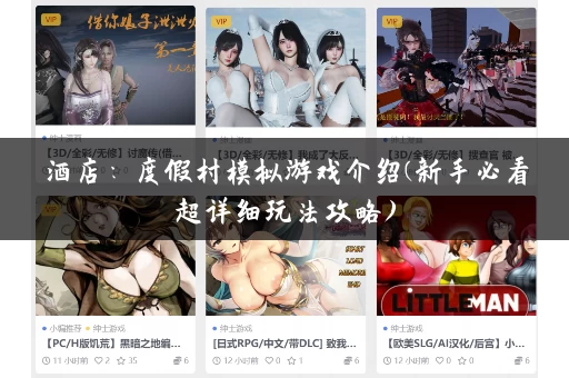 酒店：度假村模拟游戏介绍(新手必看超详细玩法攻略)