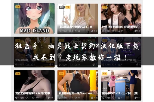 狙击手：幽灵战士契约2汉化版下载 找不到？老玩家教你一招！