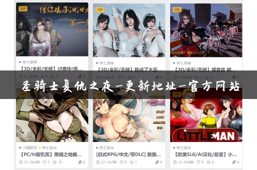 圣骑士复仇之夜_更新地址_官方网站