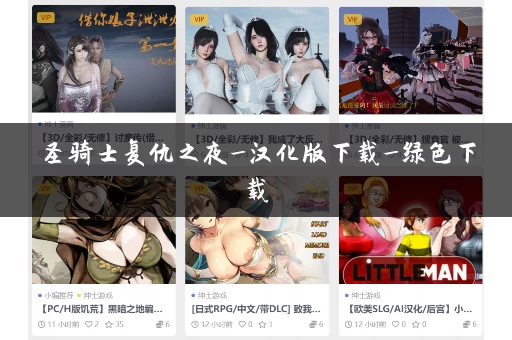 圣骑士复仇之夜_汉化版下载_绿色下载