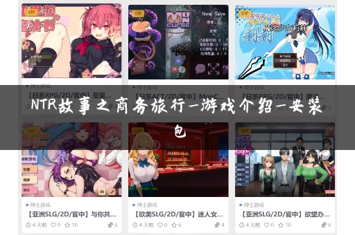 NTR故事之商务旅行_游戏介绍_安装包