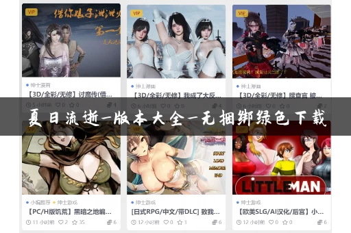 夏日流逝_版本大全_无捆绑绿色下载