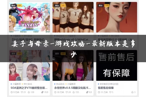 妻子与母亲_游戏攻略_最新版本是多少