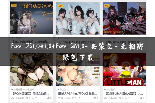 Fate DS1.0+1.8+Fate SIN1.8_安装包_无捆绑绿色下载