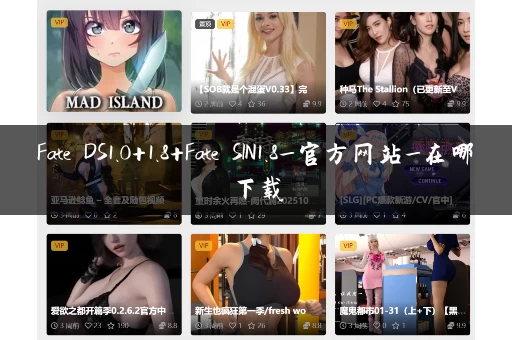 Fate DS1.0+1.8+Fate SIN1.8_官方网站_在哪下载