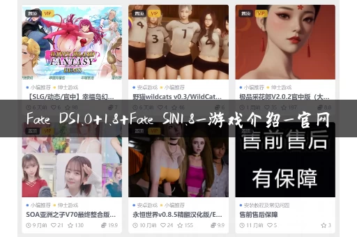 Fate DS1.0+1.8+Fate SIN1.8_游戏介绍_官网