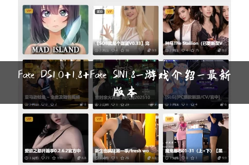 Fate DS1.0+1.8+Fate SIN1.8_游戏介绍_最新版本