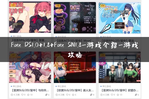 Fate DS1.0+1.8+Fate SIN1.8_游戏介绍_游戏攻略