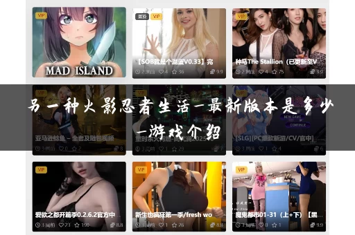 另一种火影忍者生活_最新版本是多少_游戏介绍