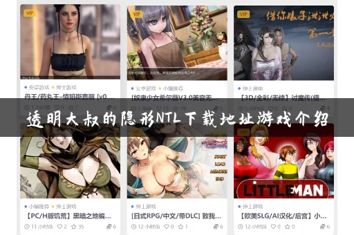 透明大叔的隐形NTL下载地址游戏介绍