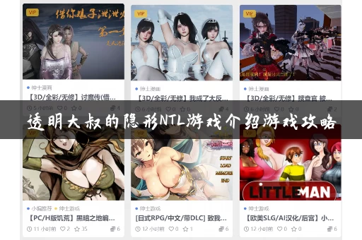 透明大叔的隐形NTL游戏介绍游戏攻略