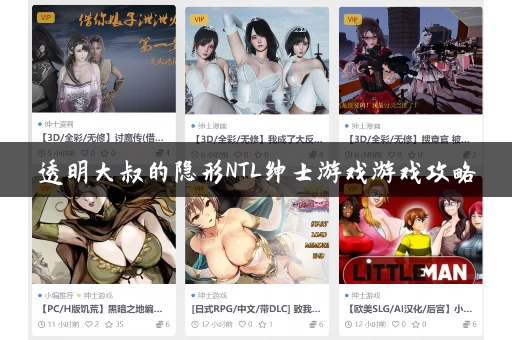 透明大叔的隐形NTL绅士游戏游戏攻略