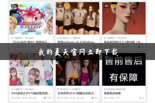 我的夏天官网立即下载