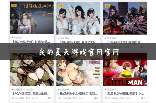 我的夏天游戏官网官网