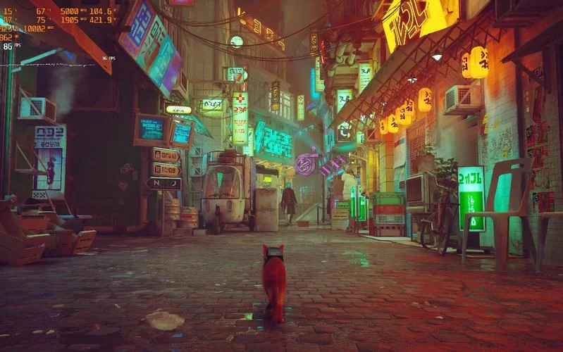 迷失／流浪／Stray