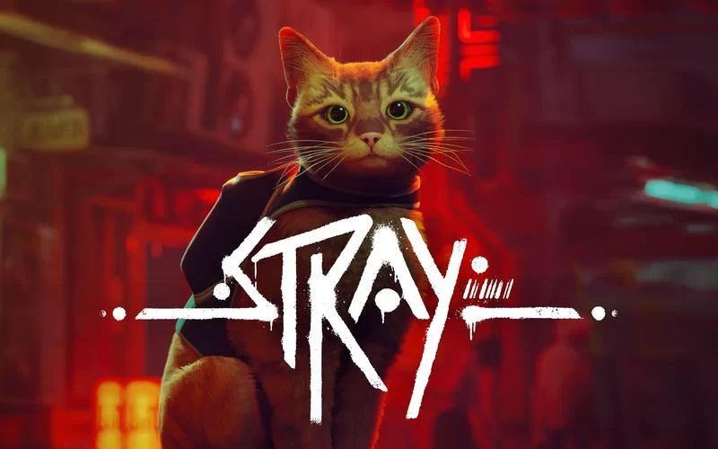 迷失／流浪／Stray