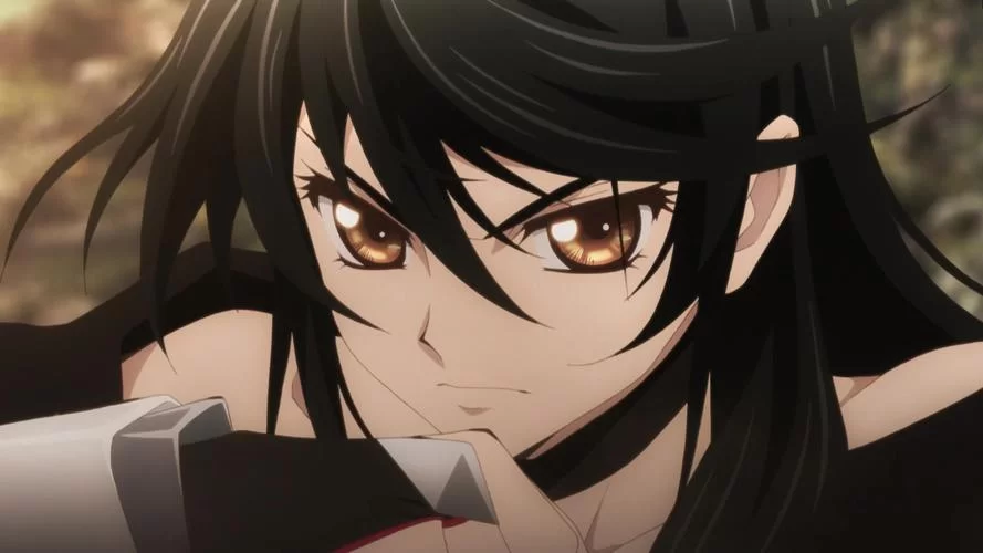 狂战传说／绯夜传奇／Tales of Berseria