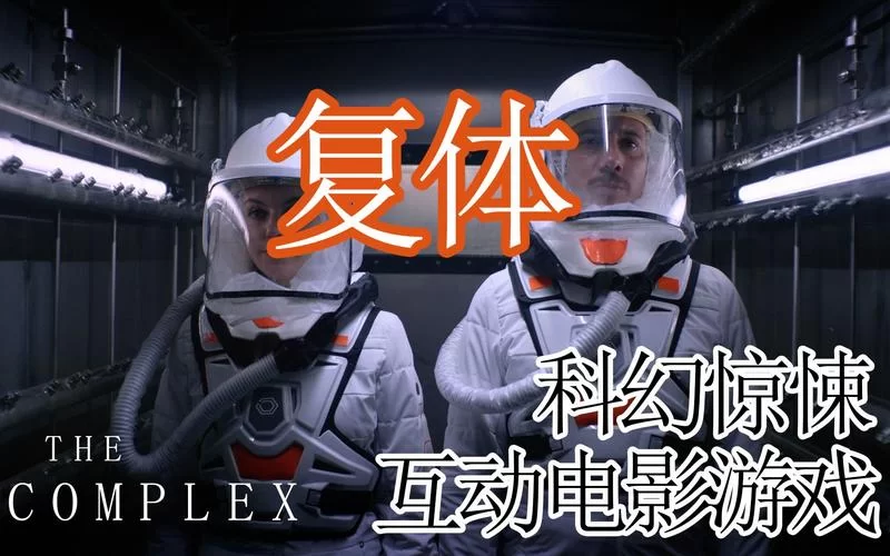 复体／The Complex