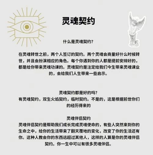 共2集灵魂盟约