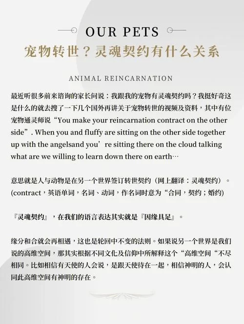 共2集灵魂盟约