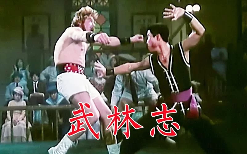 共2集武林志（更新v20230625版）