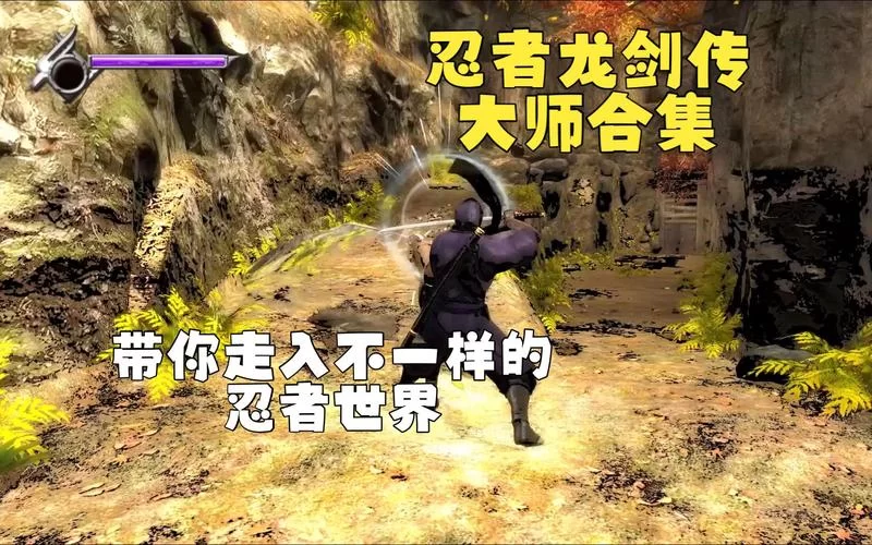 忍者龙剑传：大师合集／NINJA GAIDEN： Master Collection