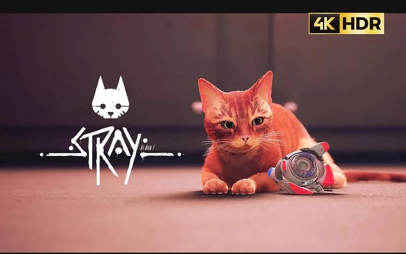 迷失／Stray（更新1.2版）